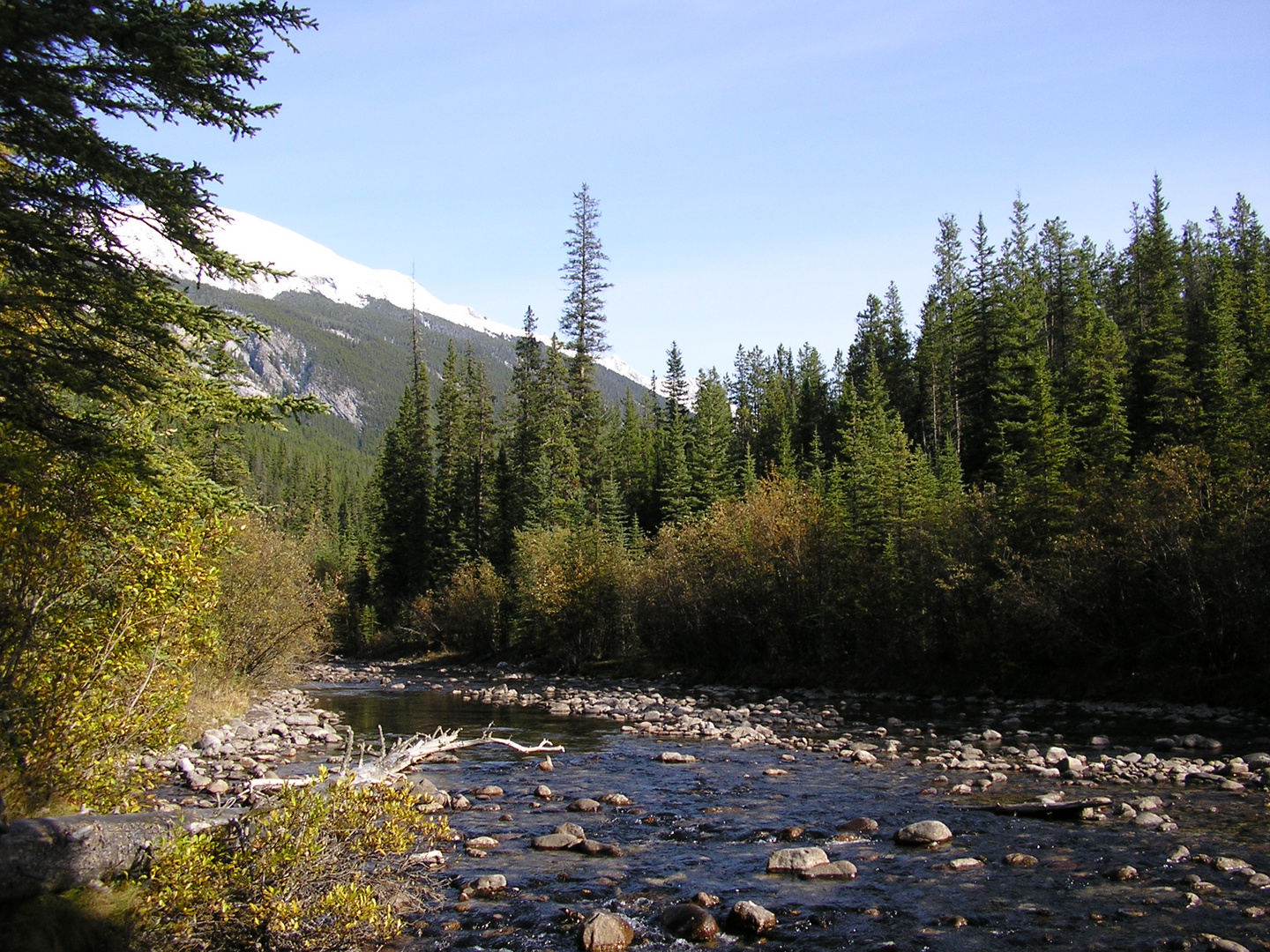 Maligne River close to Medicine Lake