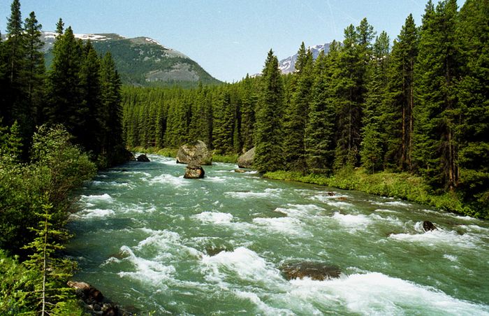 Maligne River im Westen Kanadas