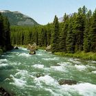 Maligne River im Westen Kanadas