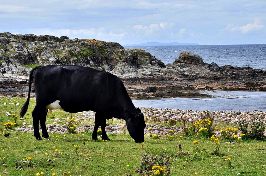 Malin Head