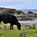 Malin Head