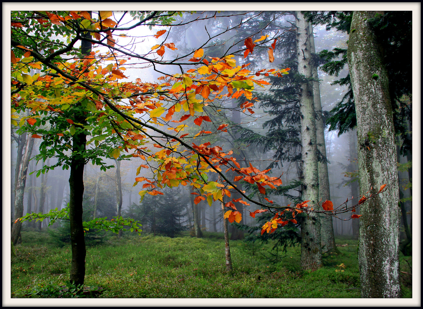 Malkasten der Natur