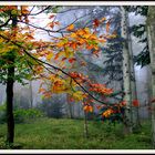 Malkasten der Natur