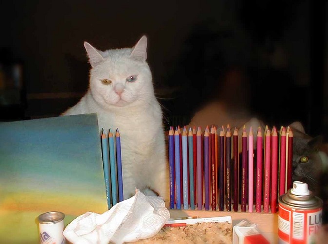 Malkatzen