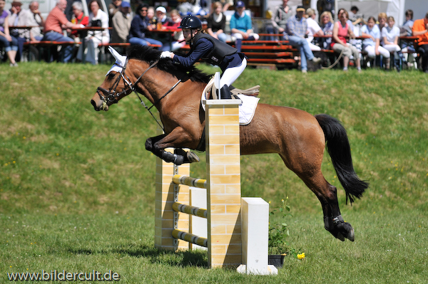 Mallersdorf Pfaffenberg 2008