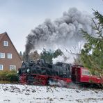 Mallet im Harz