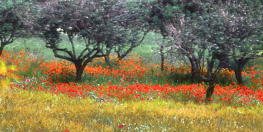 Mallorca