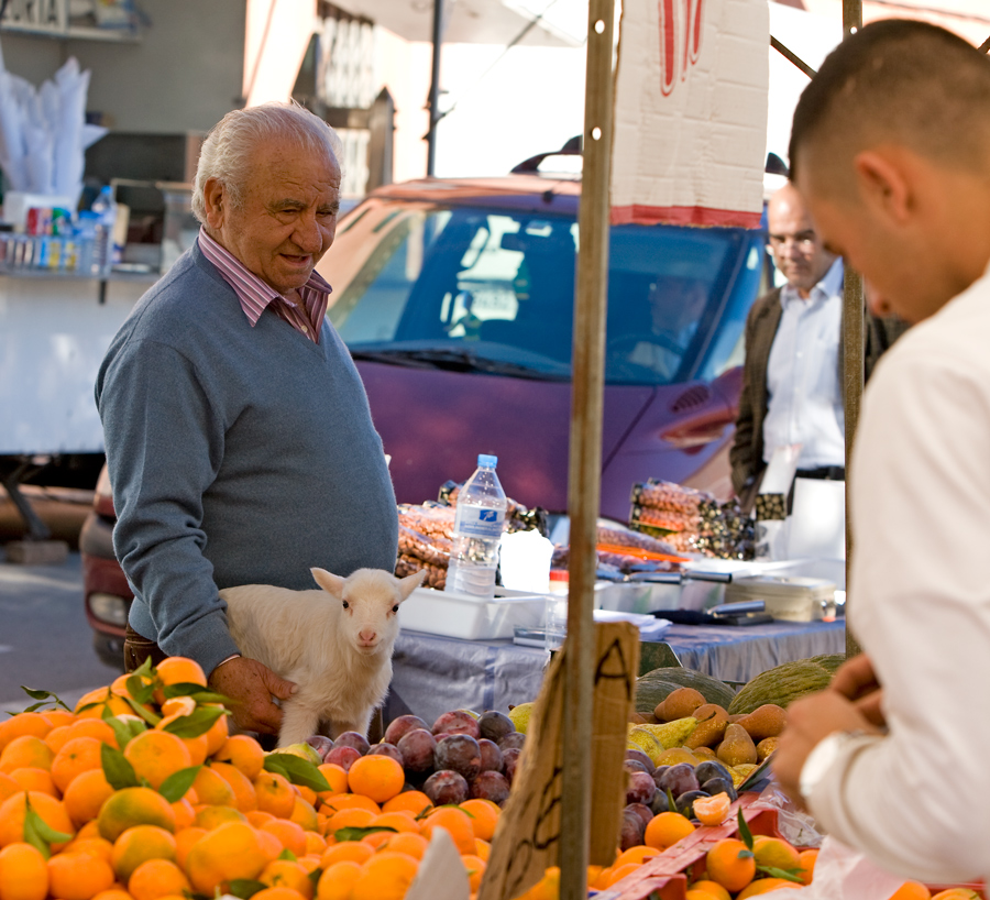 mallorca 2007 #6 Tiermarkt von Sineu