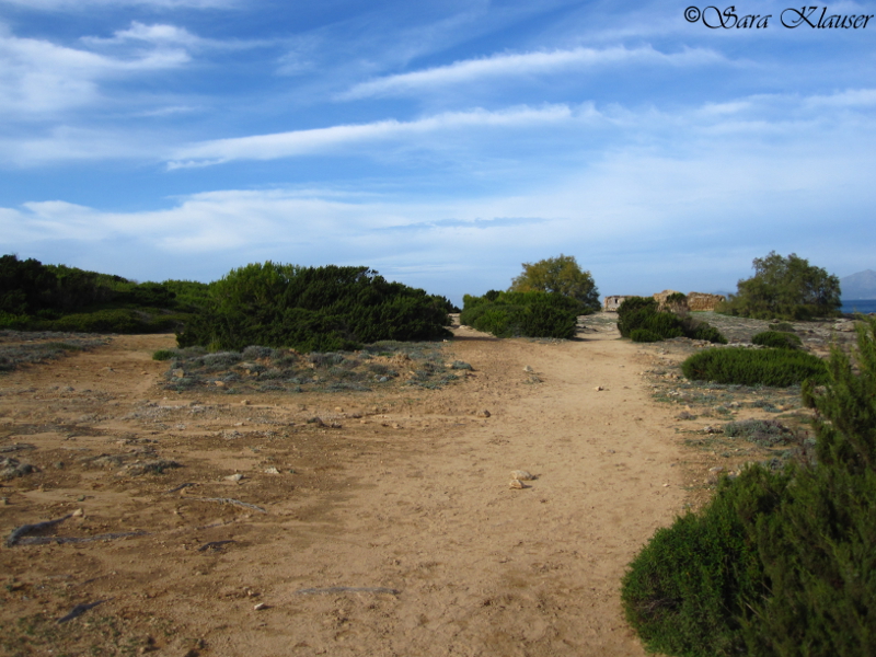 Mallorca 2010