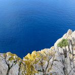 Mallorca (2018), Cap de Formentor II