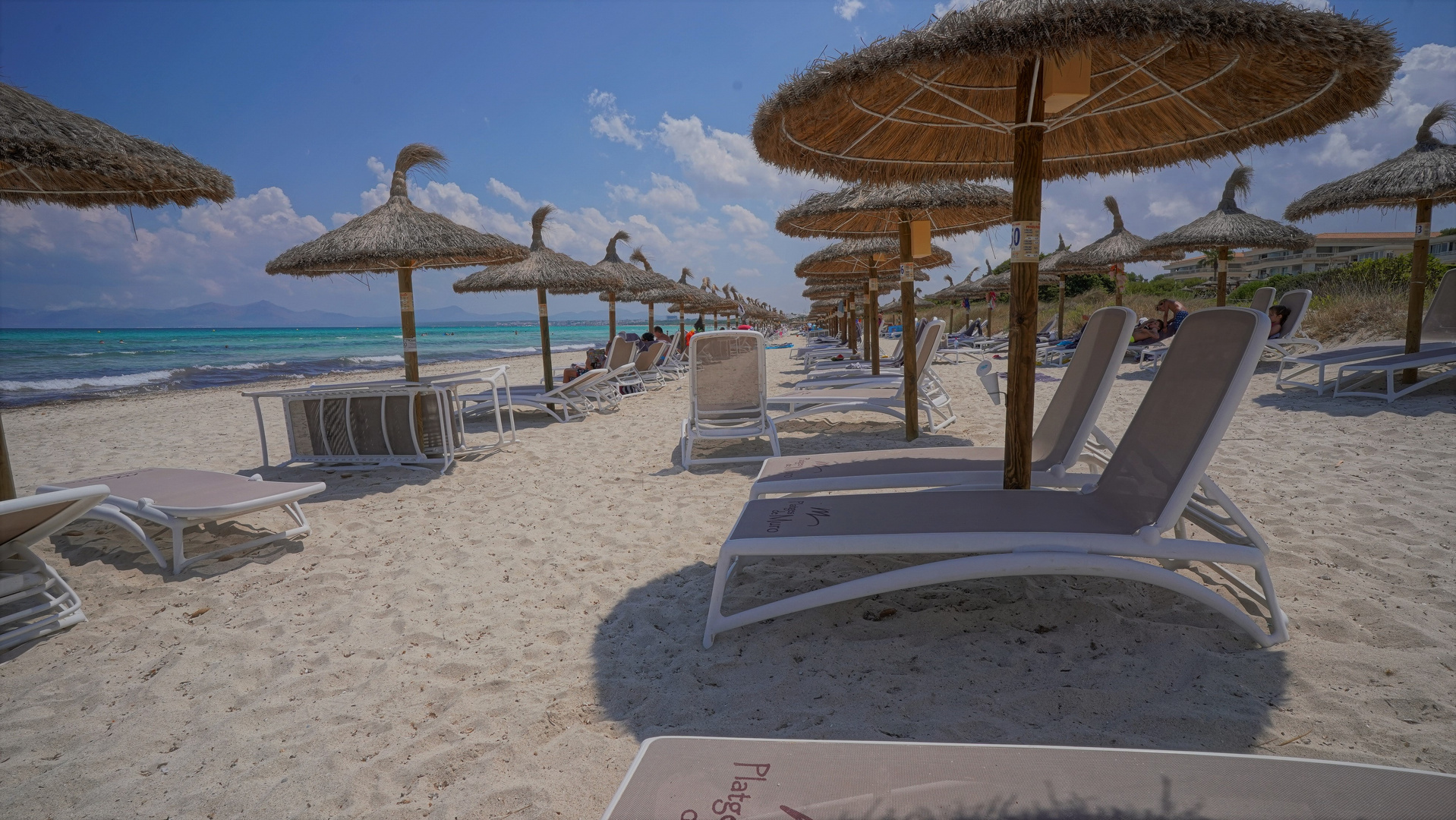 Mallorca 2019, am Strand von Muro (en la playa de Muro) Foto & Bild