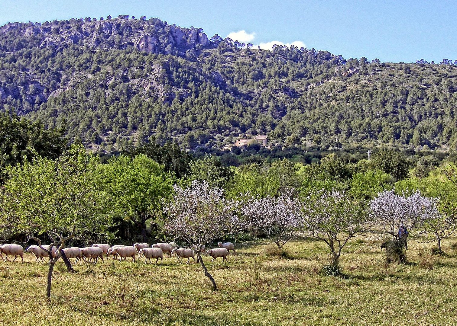 Mallorca