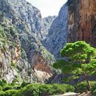 Mallorca 5