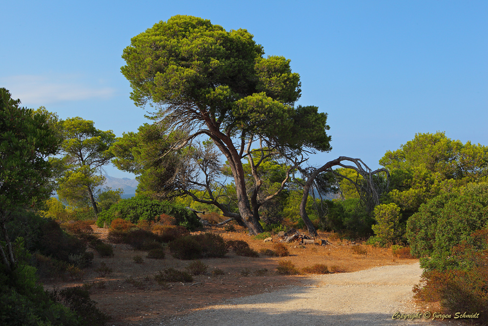 Mallorca