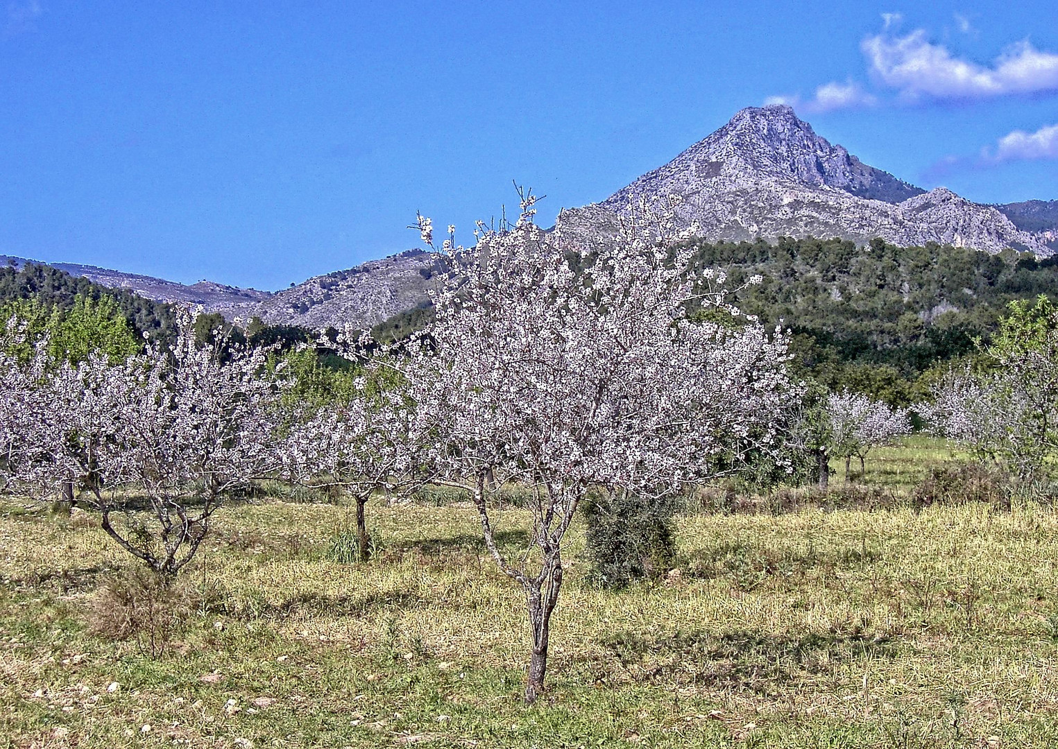 Mallorca 