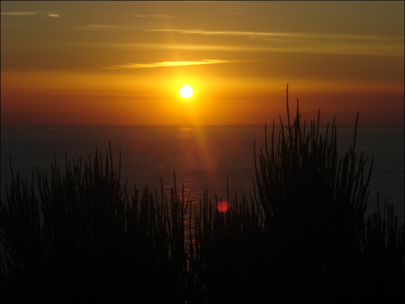 .mallorca.