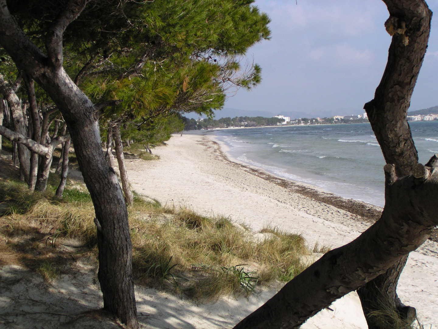 Mallorca, Alcudia, Strand