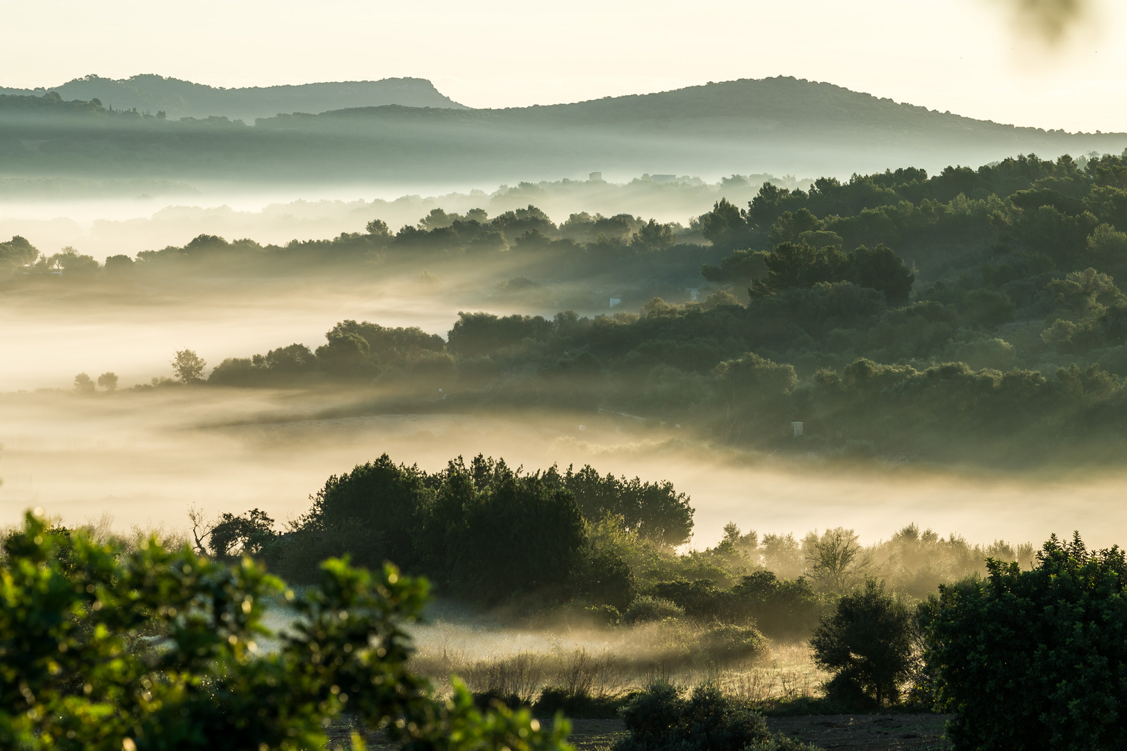 Mallorca - Am Morgen