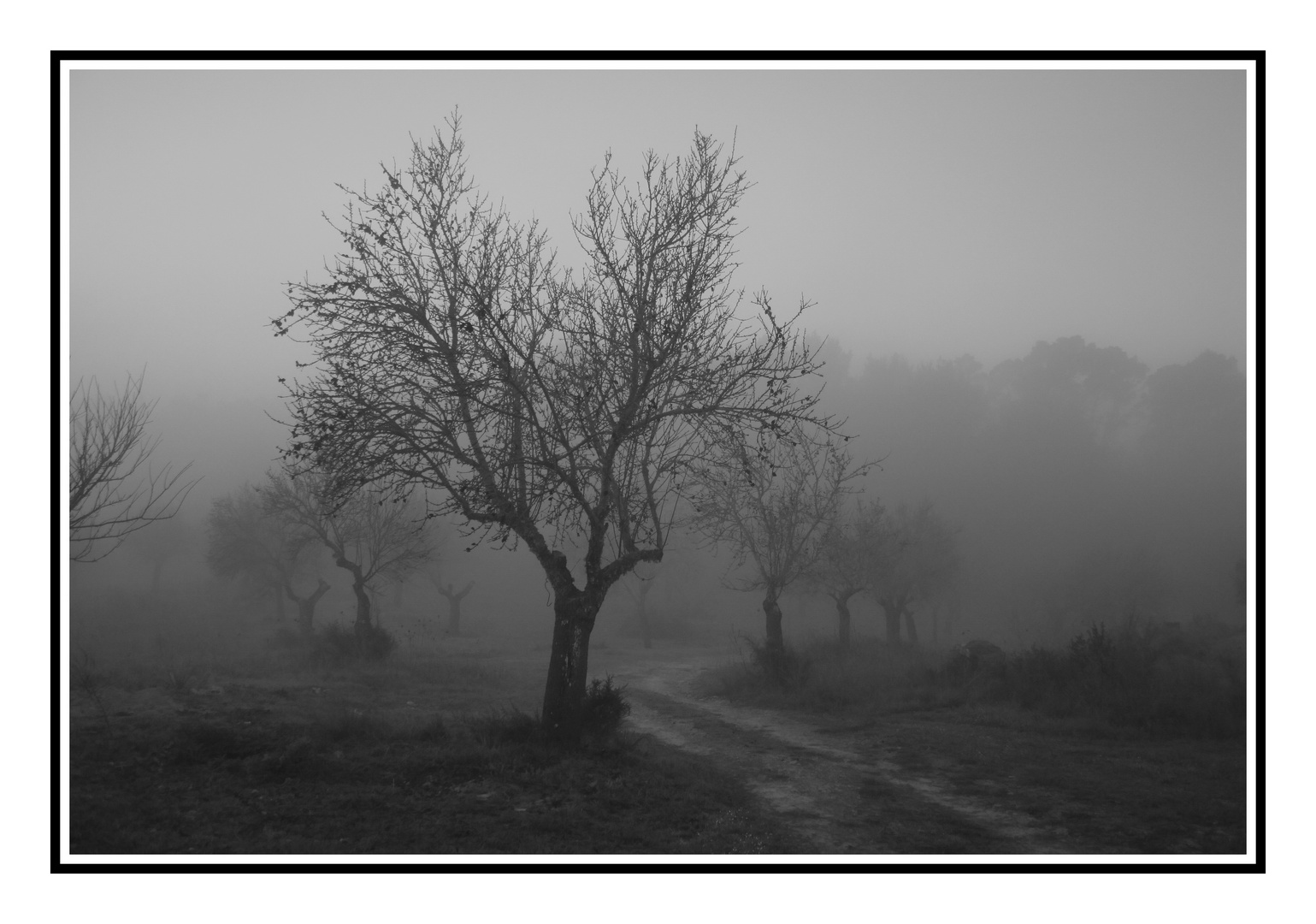 Mallorca am Morgen