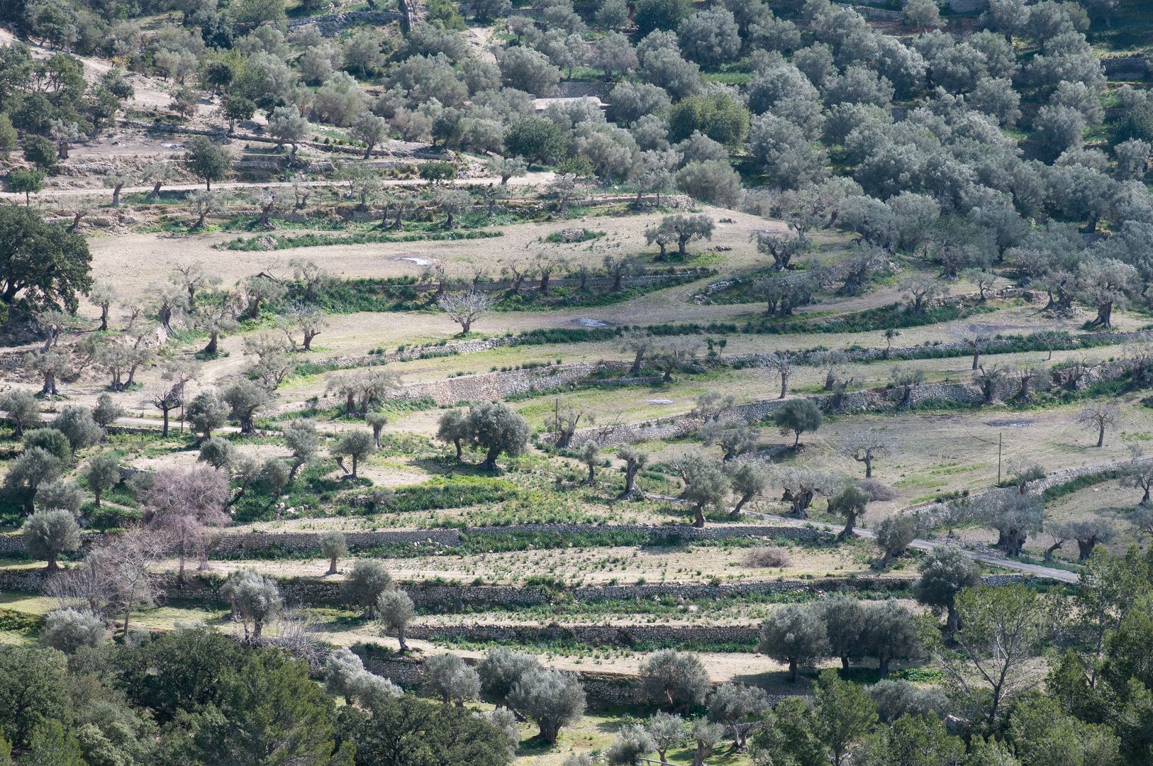 Mallorca