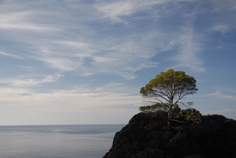 Mallorca - bei Sa Calobra