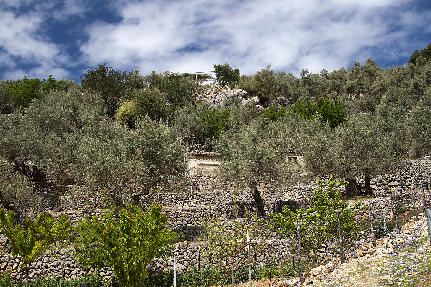 Mallorca bei Sóller