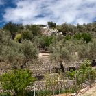 Mallorca bei Sóller