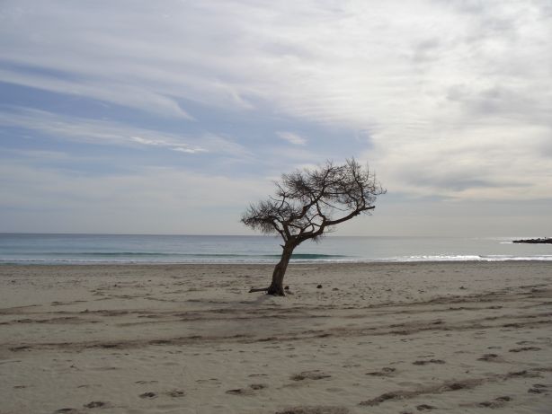 Mallorca