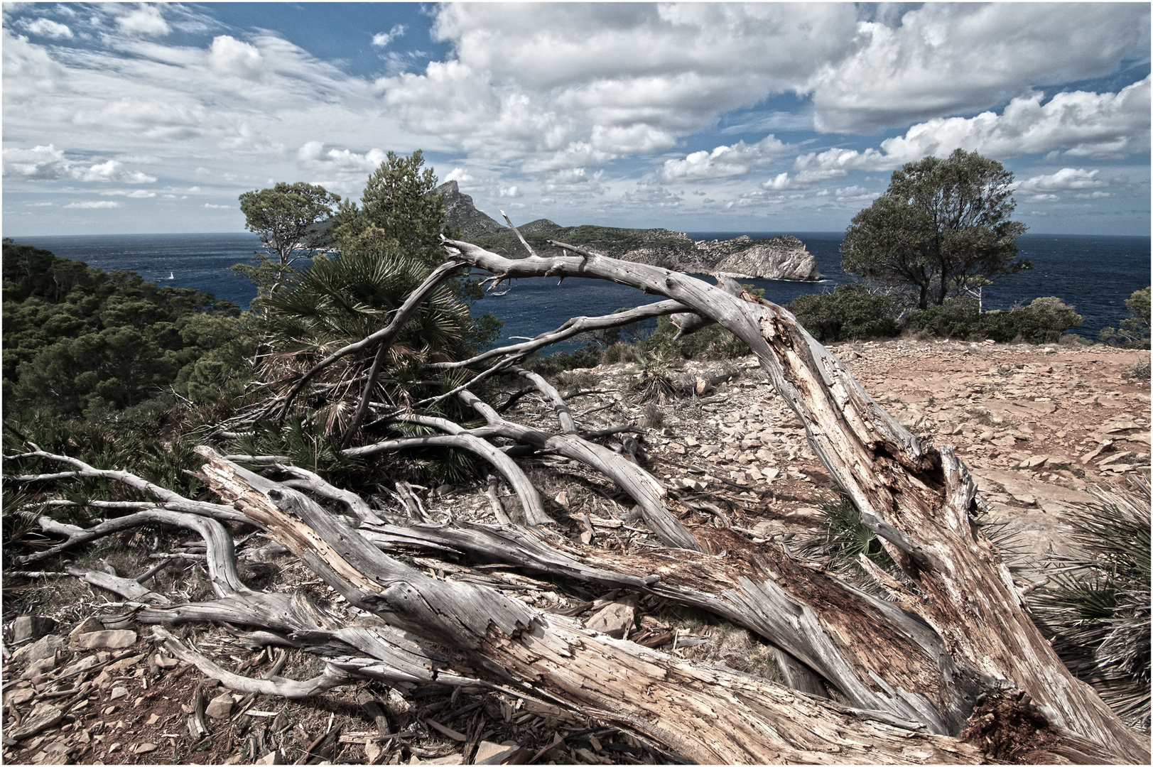 Mallorca - Blick auf Sa Dragonera (1)