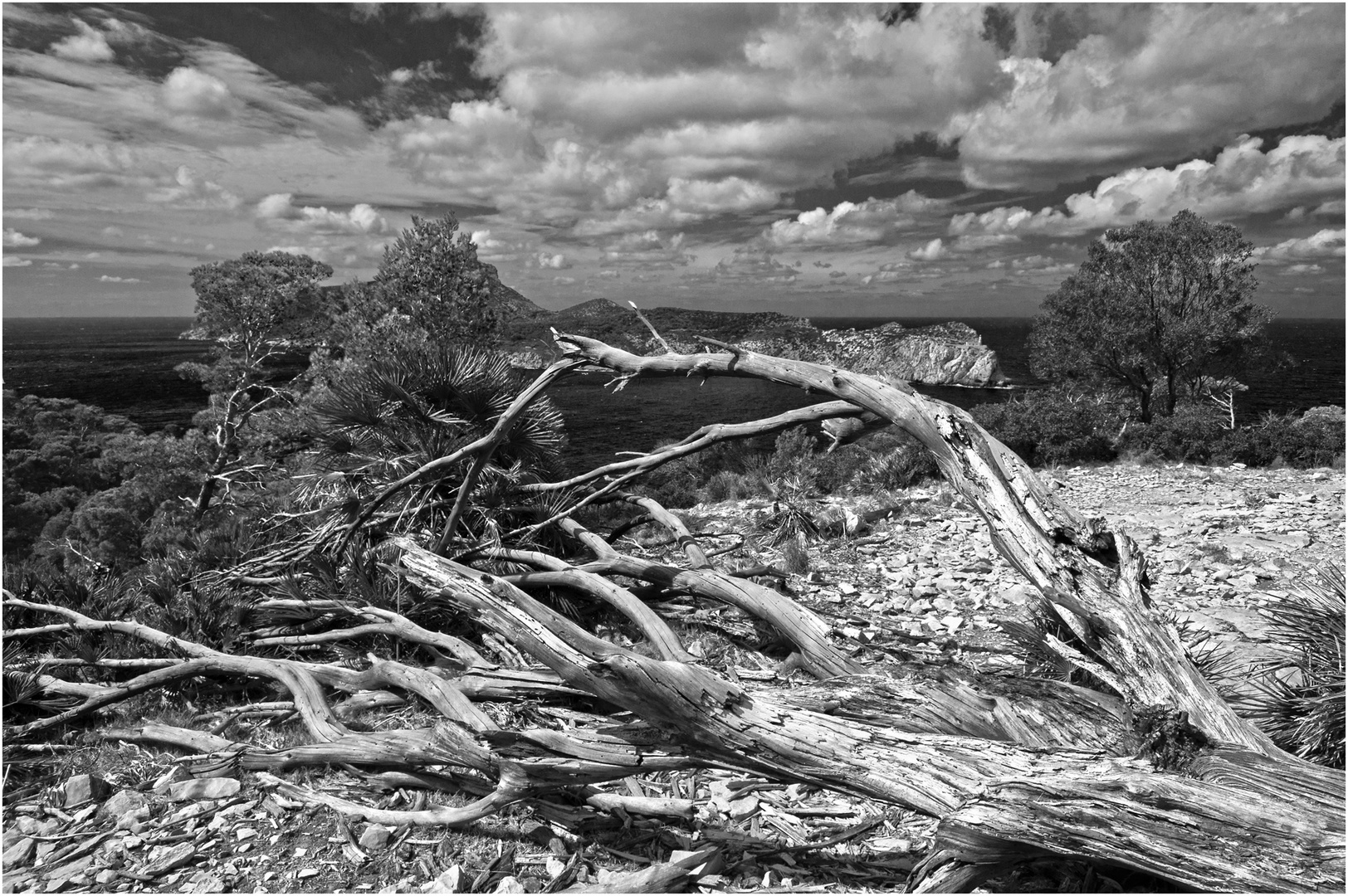 Mallorca - Blick auf Sa Dragonera (2)