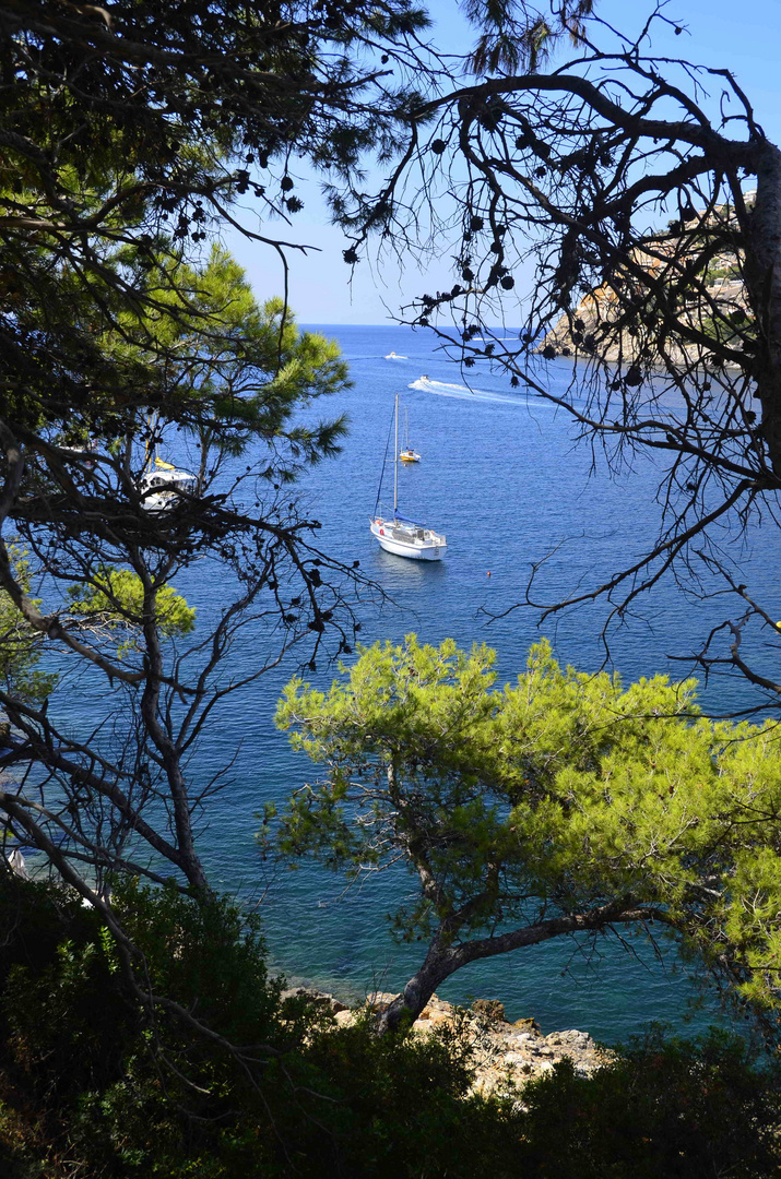 Mallorca - Bucht von Andratx