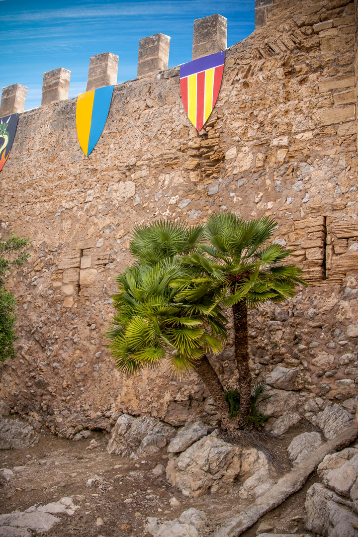 Mallorca Burg von Capdepera