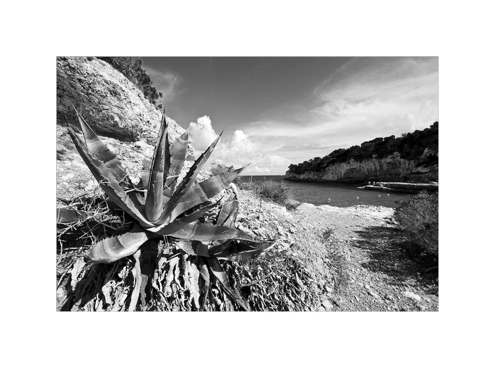 Mallorca Cala LLombards