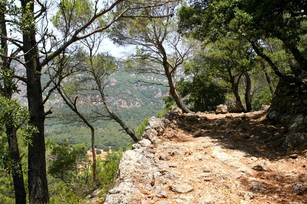 Mallorca - Cami des Freu