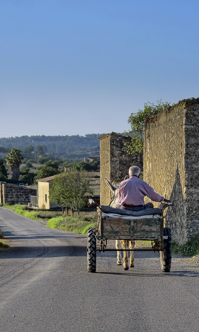 Mallorca del interior 5