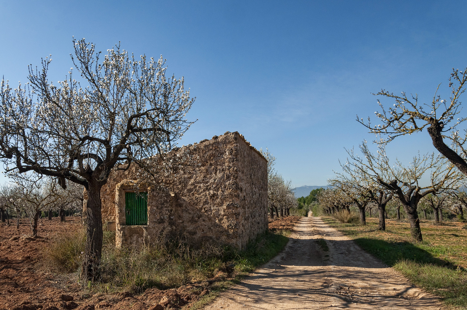 Mallorca del interior