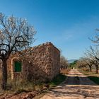 Mallorca del interior