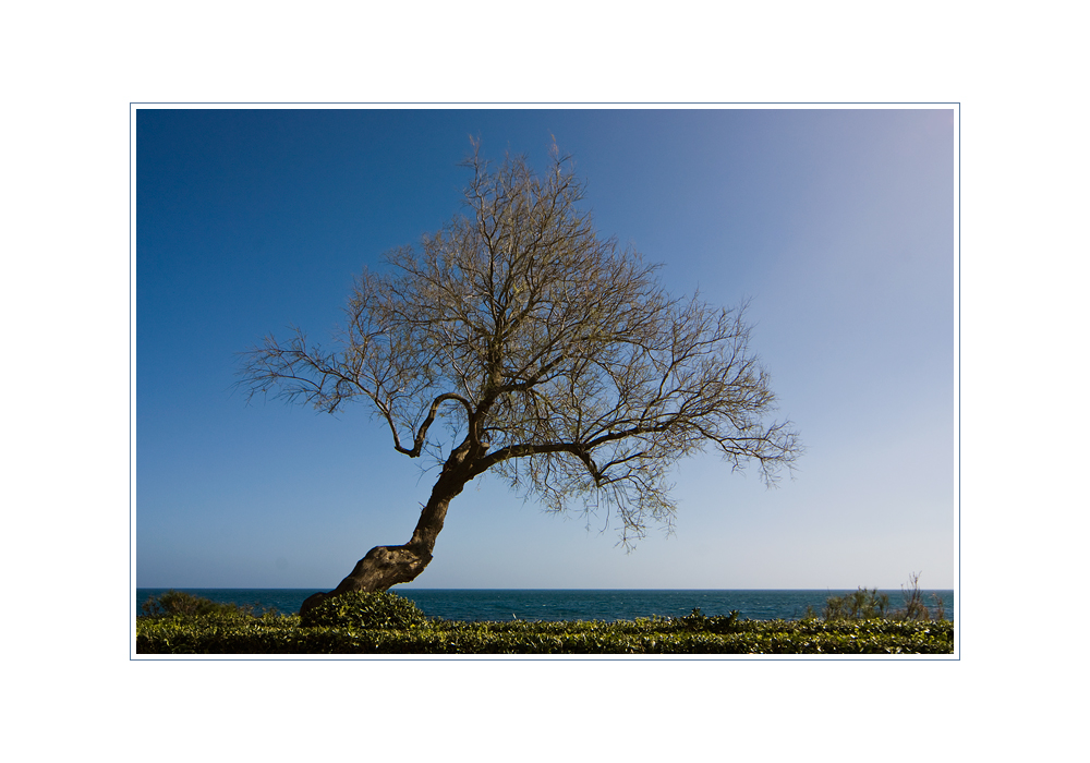 Mallorca: Der Einzelne