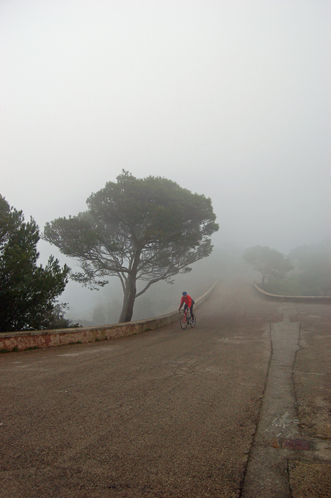 Mallorca einmal anders  ~6~