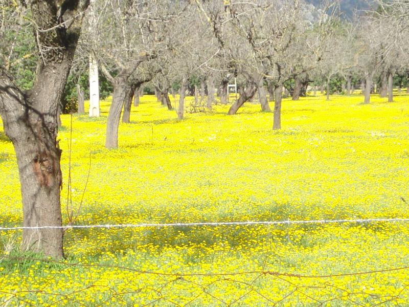 Mallorca en noviembre