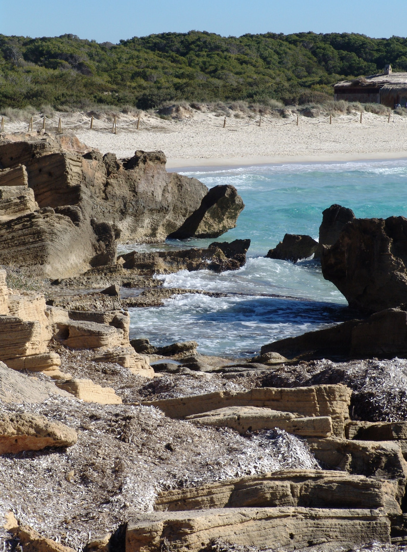 Mallorca , Es Trenc