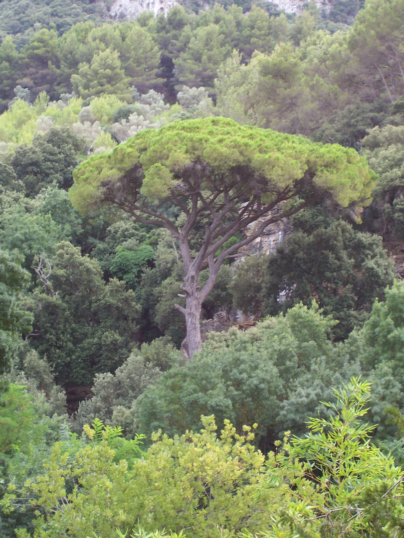 Mallorca fernab von Ballermann