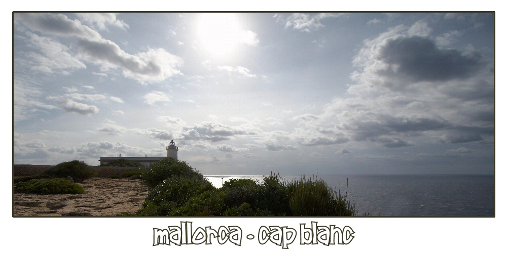 Mallorca Fotoreise März 2008