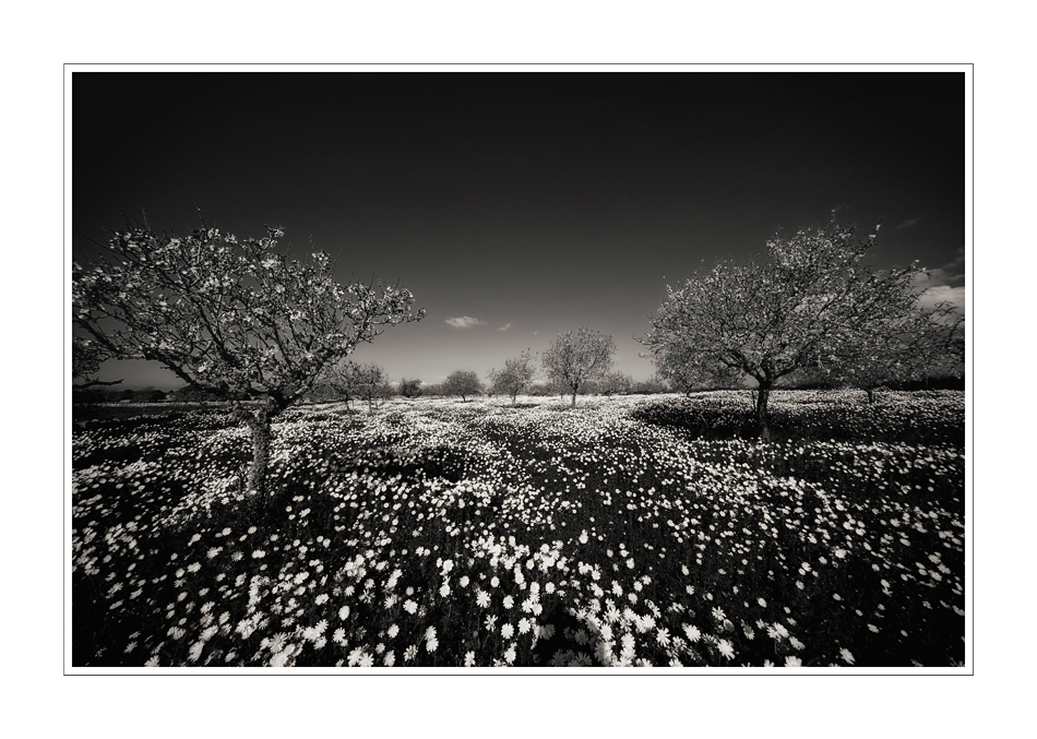 Mallorca - Frühling