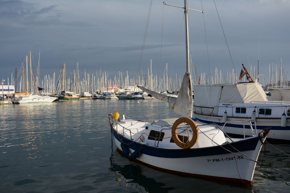 Mallorca - Hafen von Palma