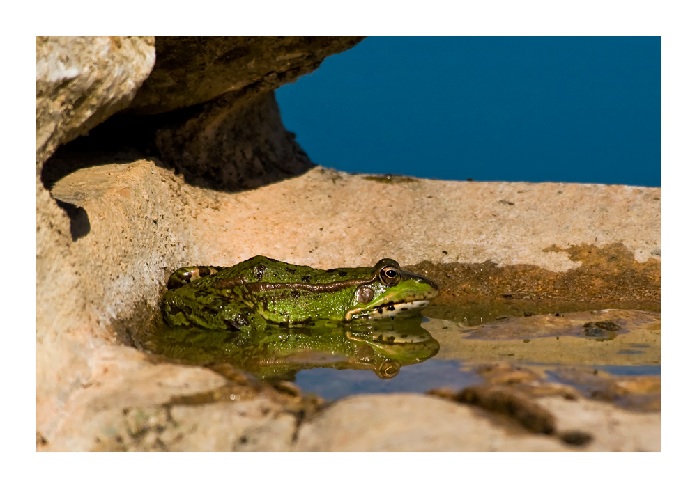 [ Mallorca III ]