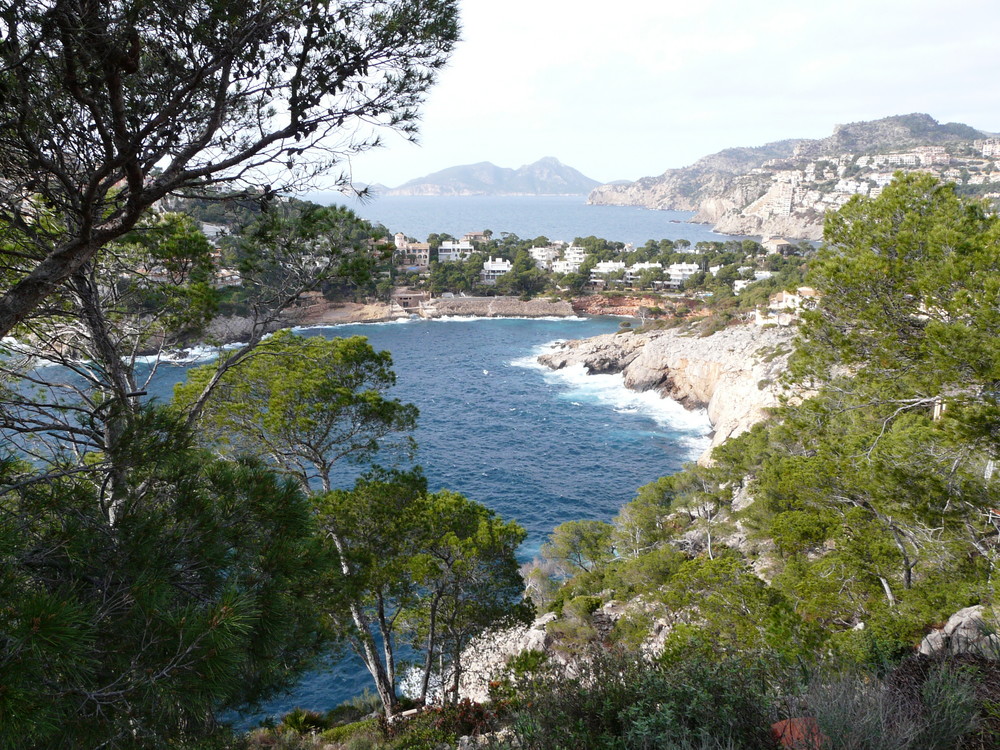 Mallorca im Februar