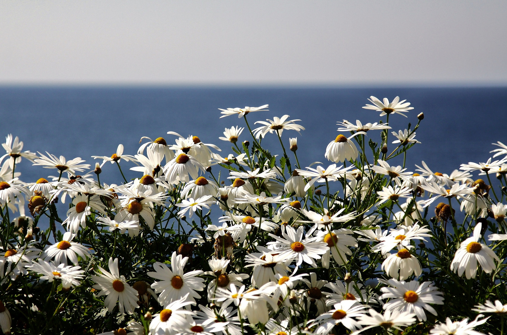 Mallorca im Januar