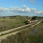 Mallorca im Januar / Mallorca en enero / Majorque en janvrier...03