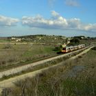 Mallorca im Januar / Mallorca en enero / Majorque en janvrier...03